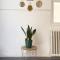 Bed & Blessing / Casa Borgo