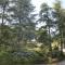 Les Hauts de Perrache photo 14