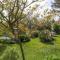 Fron Dderw Caravan