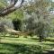 B&B Campo del Mare