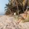Zorba Tulum Beach Homes