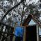Mini Cabaña Roca Glamping