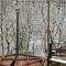 Twin Cabins / Cabanele Gemene