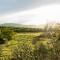 Holiday Home Papac
