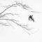 Morino Lodge - Hakuba