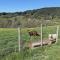 Gîte rustique 6 pers avec cheminée et grand jardin, animaux acceptés - FR-1-496-61