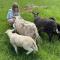Gîte 4 pers avec jardin privé et animaux admis - FR-1-496-66
