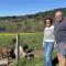 Gîte 4 pers avec jardin privé et animaux admis - FR-1-496-66