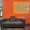 Collection O Lala Homes