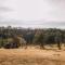 The Wollombi Wanderer by Tiny Away
