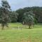 The Wollombi Wanderer by Tiny Away