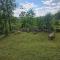 Forest House Doftana