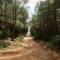 Camping Ribamar