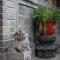 Foto: The Great Wall Courtyard Hostel 24/39