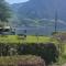 Appartement Demelfischer am See