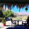 Astro Camping Elqui Experience