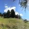 Chalet Safran