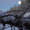 Hotel Pension Tyrol