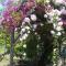 Maniatis Garden
