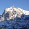 Chalet Spinne