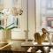 "Pension am Dom", Historische Apartments, Superzentral, 7min zum Schloss