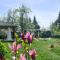 Mountain View Deluxe Villa & pool