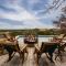 Pool, Porch and Stunning Views Spacious Texas Home!