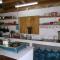 The Funky Dodo Backpackers Hostel