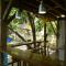 The Funky Dodo Backpackers Hostel