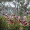 Padthaway Caravan Park