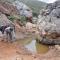 African Game Lodge