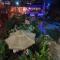 Poshtel Arenal