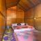 Himalayan Wooden Cottage camping & Cafe Dalhousie