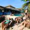 Phangan Arena Hostel - Baan Tai