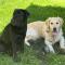 Lisa und Emely