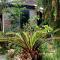 Tam Tinh Vien Homestay