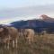 Camping Can Fosses - Planoles