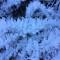 Camping Can Fosses - Planoles