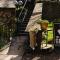 Catkin Cottage