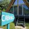 Cabane A-Frame Svinița