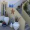 Malia Star Apartments