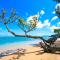 Hale LaAu Pohaku TVNC#4255