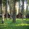 FivePine Lodge