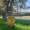 Red Tail Ranch