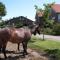 Suiten-Hotel mare Langeoog