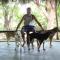 Foto: Nature Retreat with Healing Dogs in Brazil 8/53