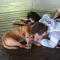 Foto: Nature Retreat with Healing Dogs in Brazil 10/53