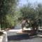 Bed & Breakfast La Collinetta