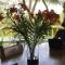 Nosara Sunrise Bed and Breakfast