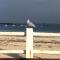 Panorama NewPort
